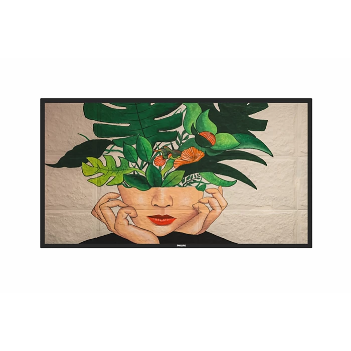 Philips 55BDL4650D (5)