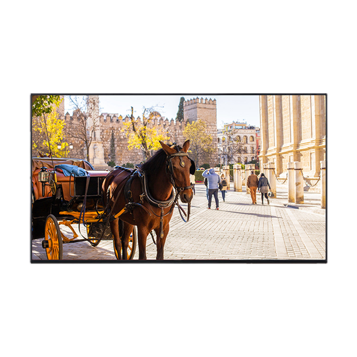 163-4335_1.jpg Monitor UHD 40" KIMEX 163-4335