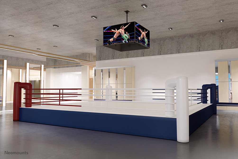 1d9ac46a2e411d10528389fdf1ad9559.jpg Soporte de techo Neomounts Pro NMPRO-CMB4