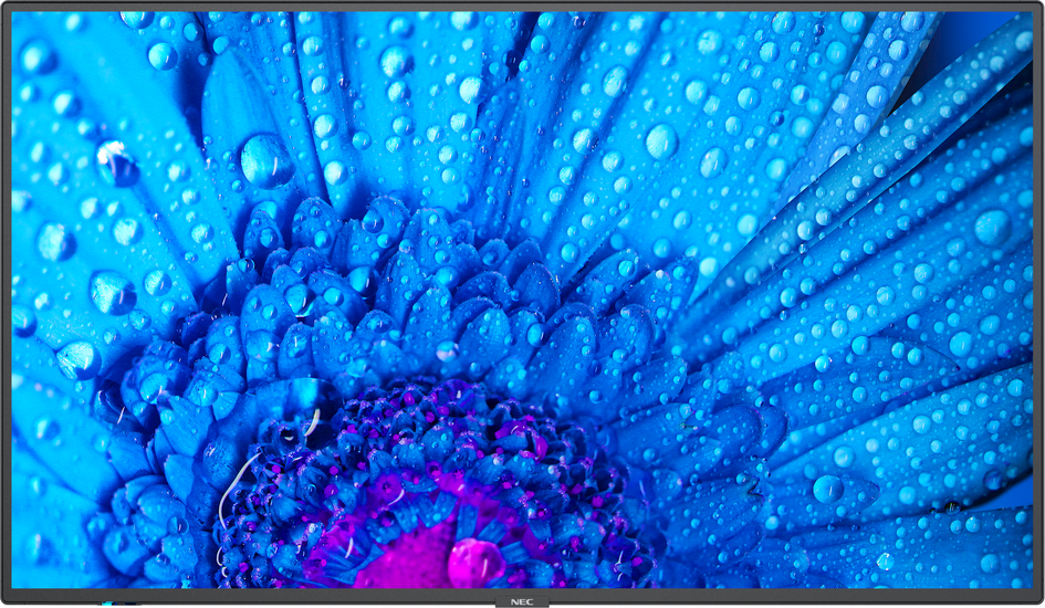 img-p-nec-m-series-front-content-960 NEC MultiSync M431 presentación profesional y contenido digital.